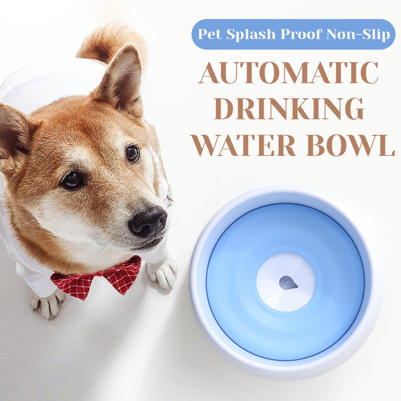 Automatic pet drinking bowl